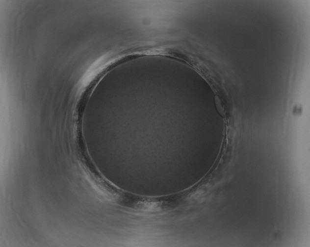 X0000113370295200909221229