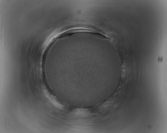 X0000113370296200909221229