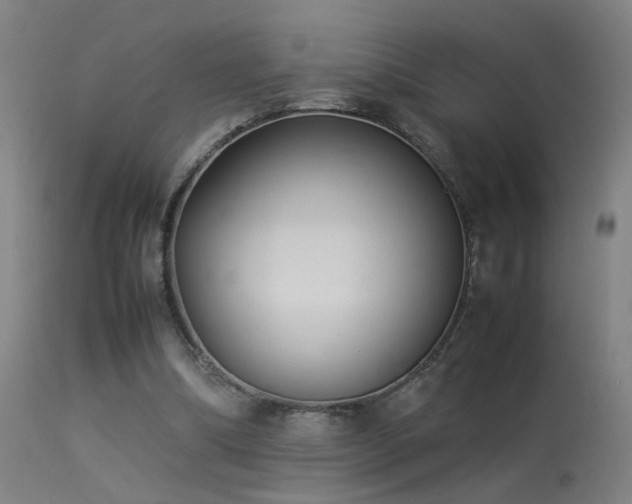 X0000113370298200909221229