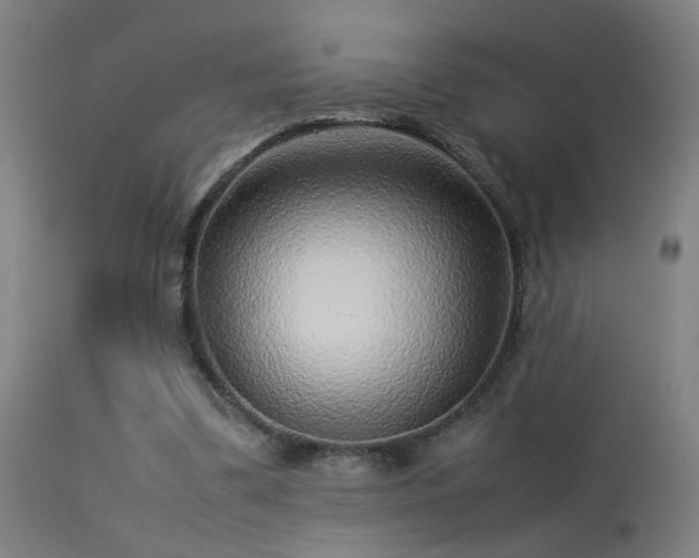 X0000113370299200909221229
