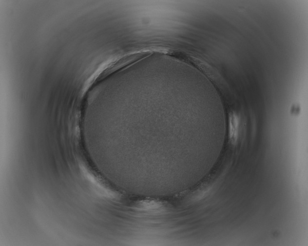 X0000113370300200909221229
