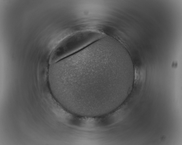 X0000113370301200909221229