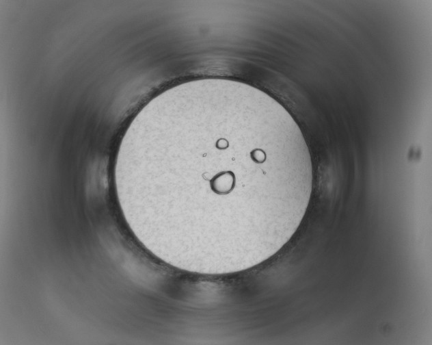 X0000113370302200909221229