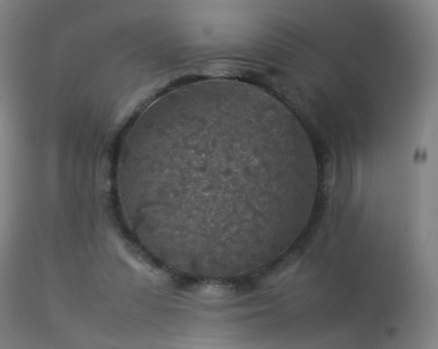 X0000113370303200909221229