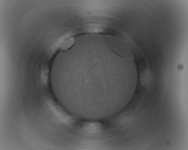 X0000113370304200909221229