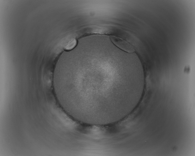 X0000113370305200909221229