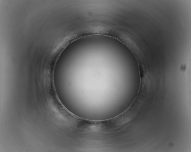X0000113370306200909221229