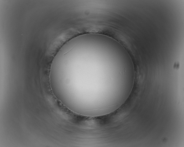 X0000113370307200909221229