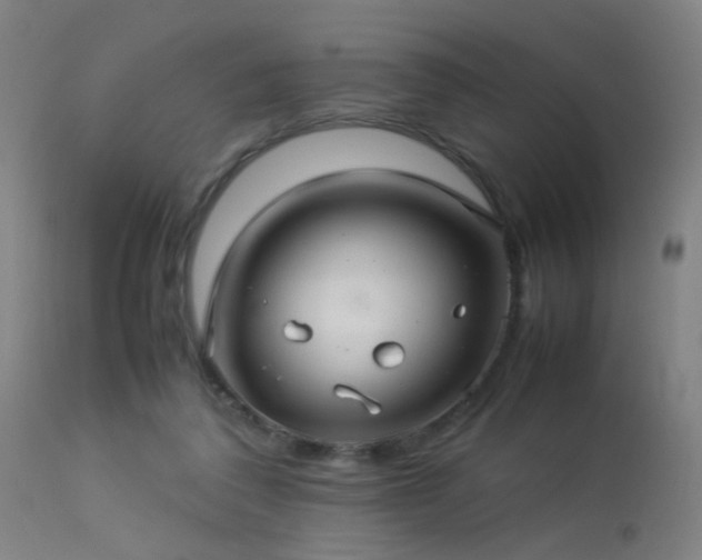 X0000113370308200909221229