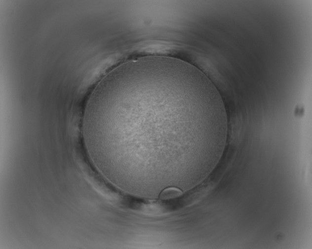X0000113370309200909221229