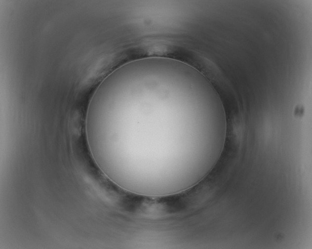 X0000113370311200909221229