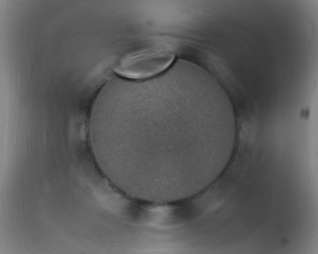 X0000113370313200909221229