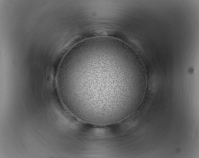 X0000113370314200909221229