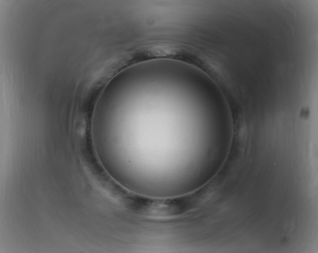 X0000113370315200909221229
