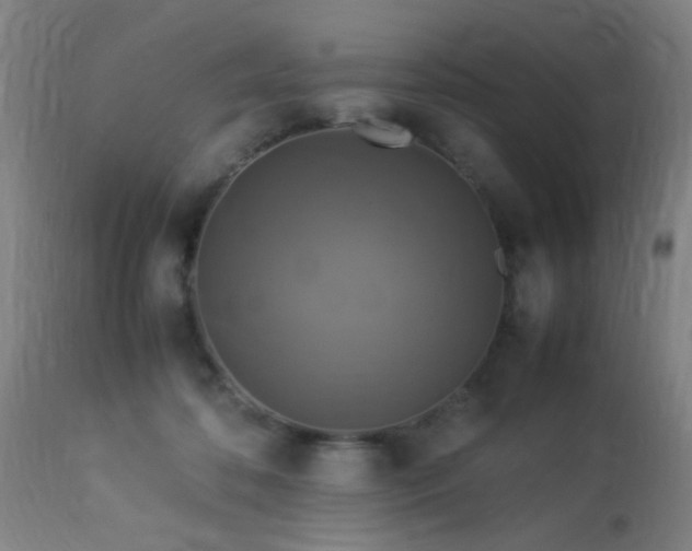 X0000113370316200909221229