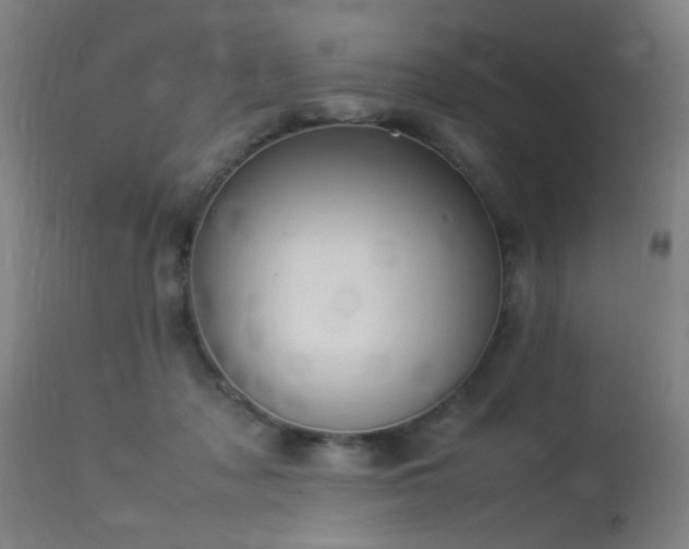 X0000113370317200909221229