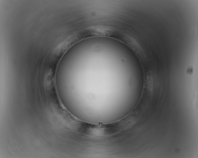 X0000113370318200909221229