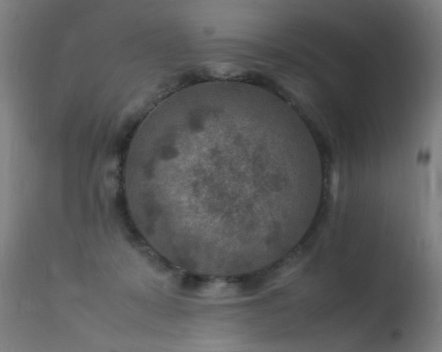 X0000113370319200909221229
