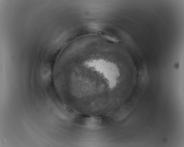 X0000113370320200909221229