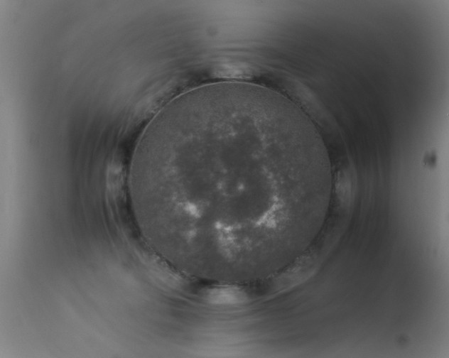 X0000113370322200909221229