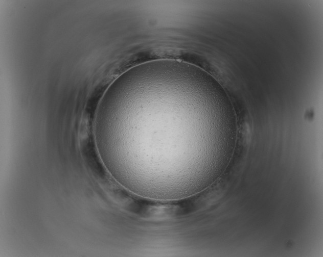 X0000113370323200909221229