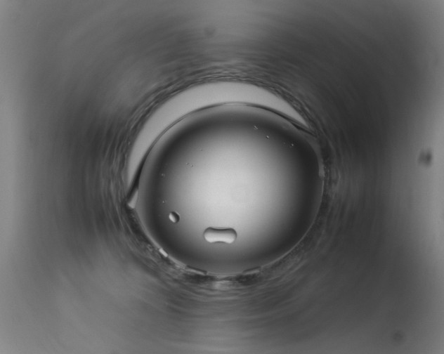 X0000113370324200909221229