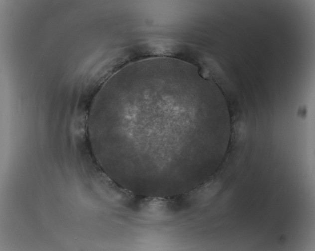 X0000113370325200909221229