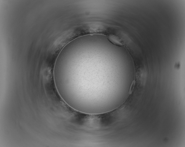 X0000113370327200909221229
