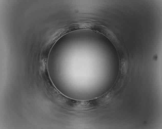 X0000113370329200909221229