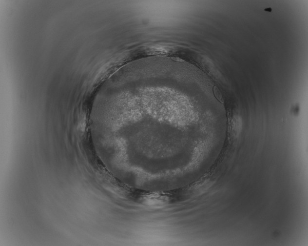 X0000113370331200909221229