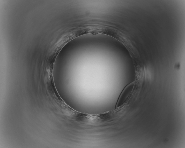 X0000113370333200909221229