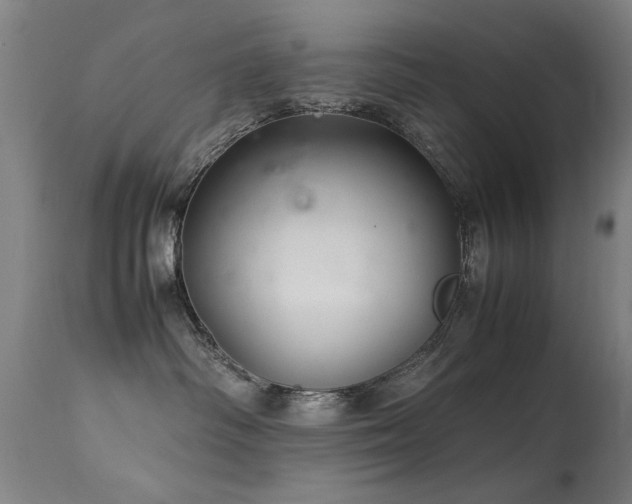 X0000113370334200909221229
