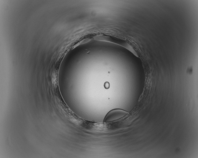 X0000113370335200909221229
