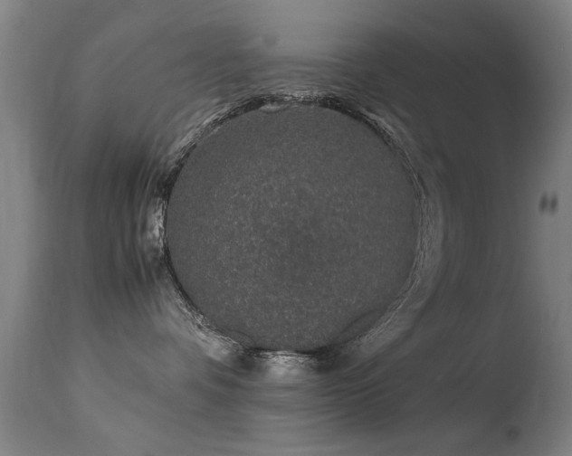 X0000113370336200909221229
