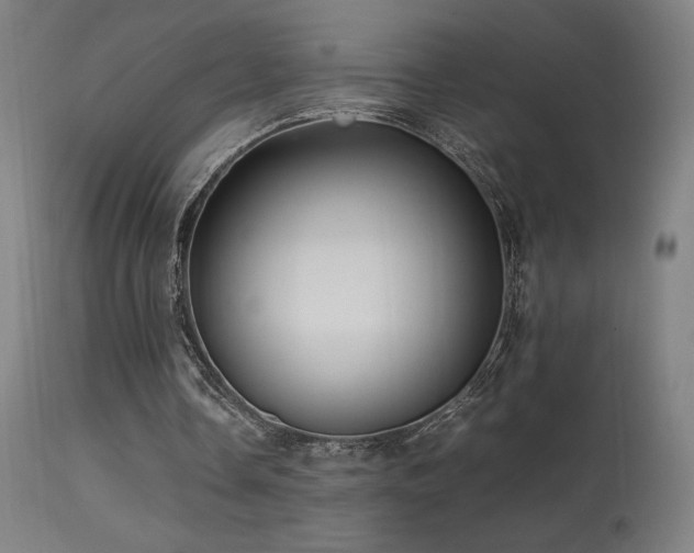 X0000113370338200909221228
