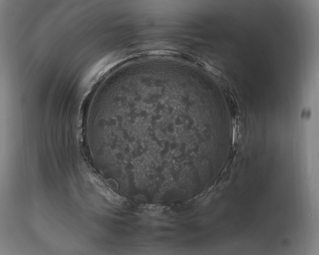 X0000113370339200909221228