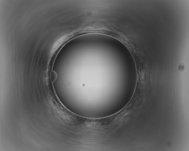 X0000113370340200909221228