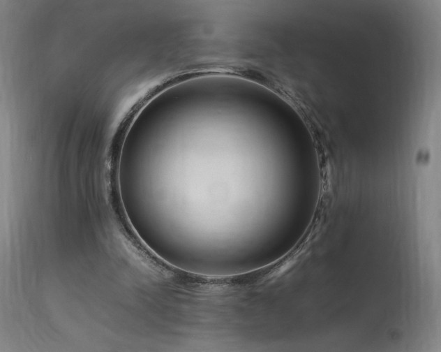 X0000113370342200909221228