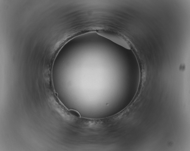 X0000113370345200909221228