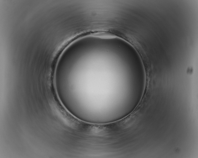 X0000113370346200909221228