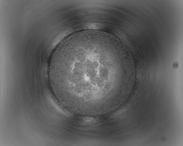 X0000113370347200909221228