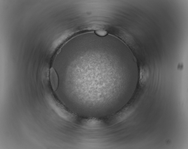 X0000113370348200909221228