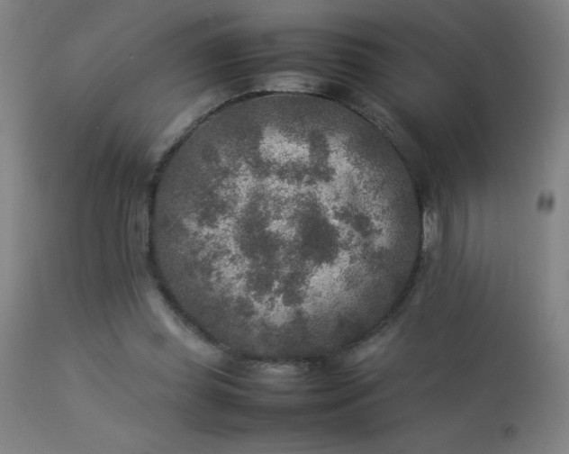 X0000113370349200909221228