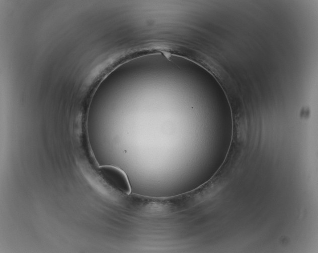 X0000113370350200909221228