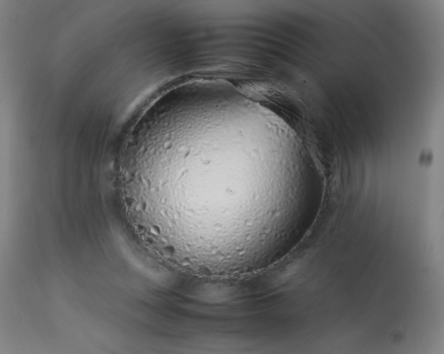 X0000113370351200909221228