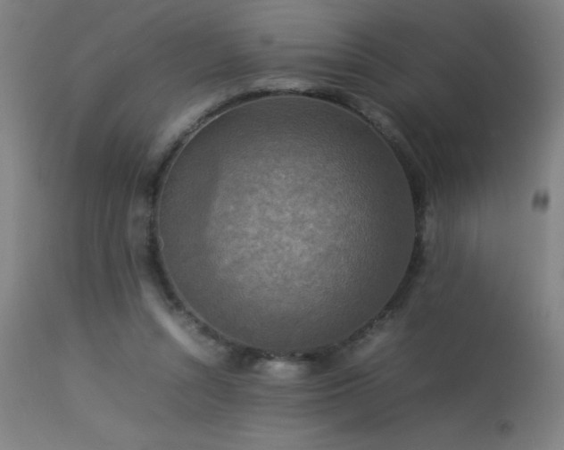 X0000113370352200909221228