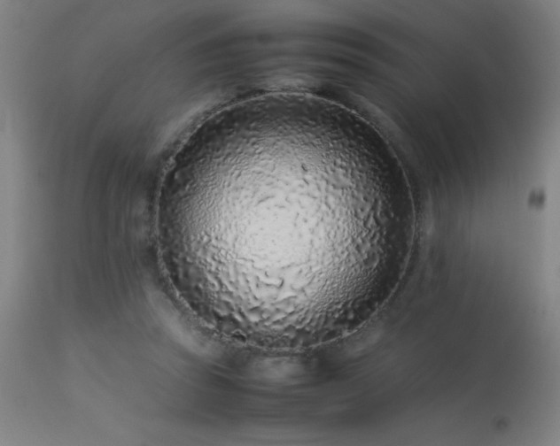 X0000113370353200909221228