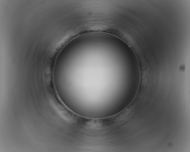 X0000113370354200909221228
