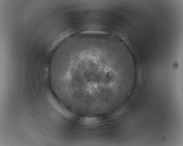 X0000113370357200909221228
