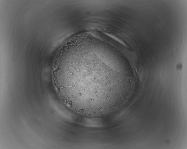 X0000113370359200909221228
